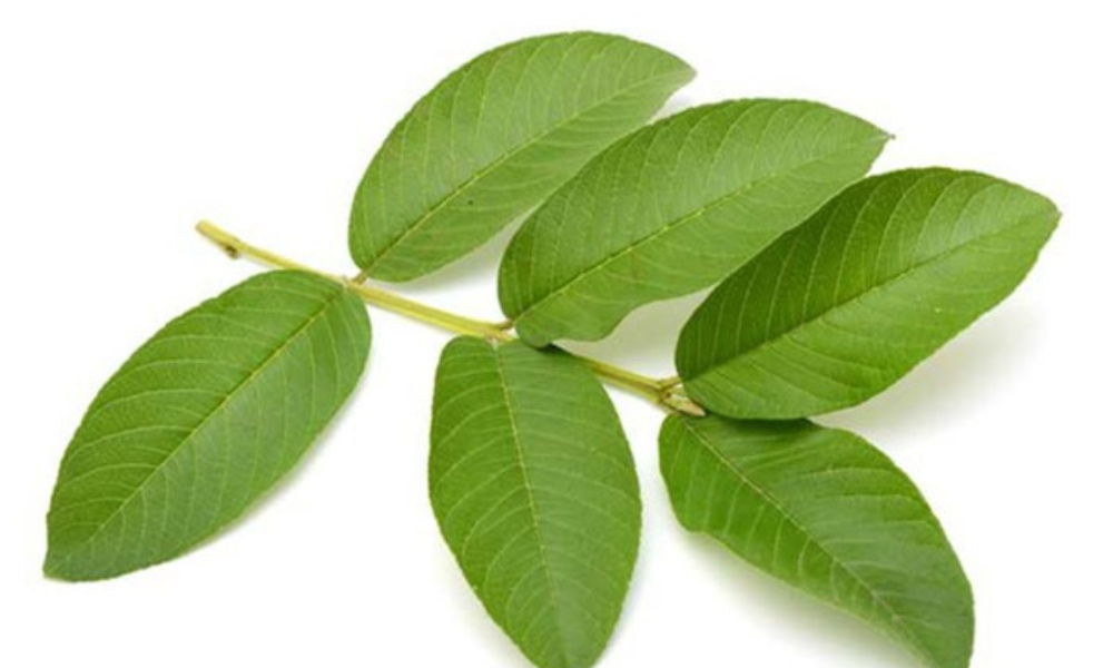 cách làm trắng răng nhanh nhất